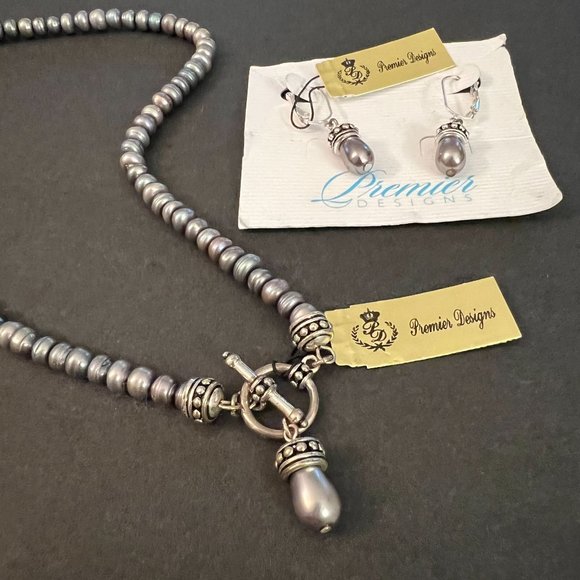 NWT Premier Designs Shades of Grey Faux Pearl Silver Toggle Necklace Ear… - Picture 11 of 11
